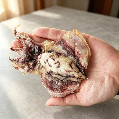 Dried Cuttlefish