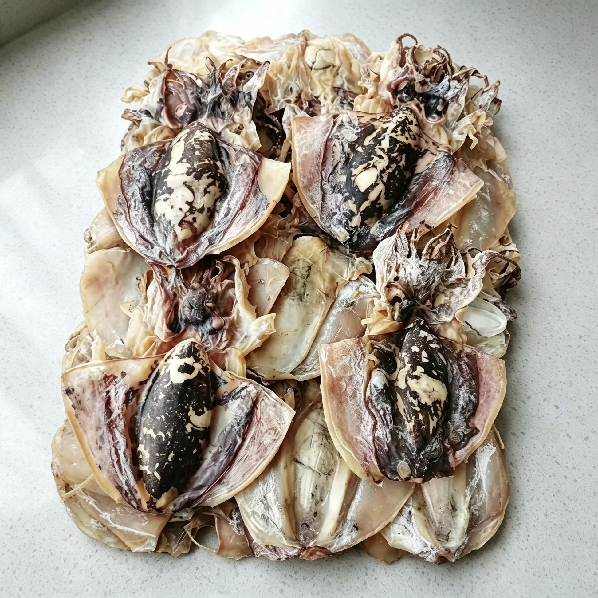 Dried Cuttlefish