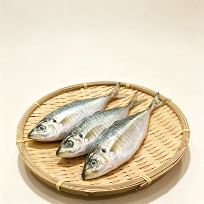 Frozen Horse Mackerel
